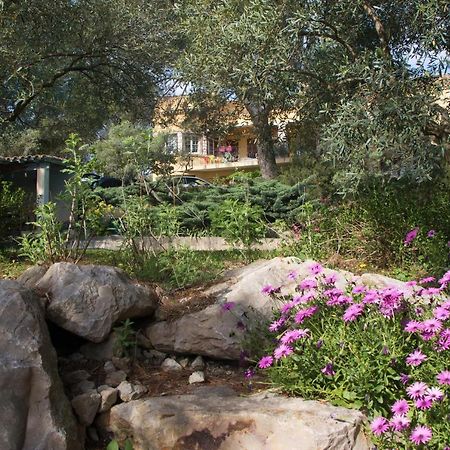 Chambre D'Hote Saint Remy Aramon Екстериор снимка